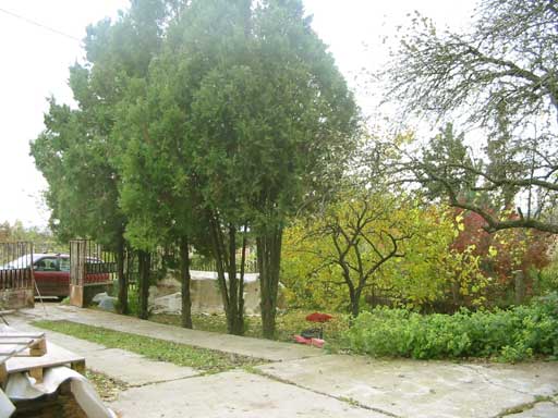Szentendre - Eladott/Kiadott - Családiház