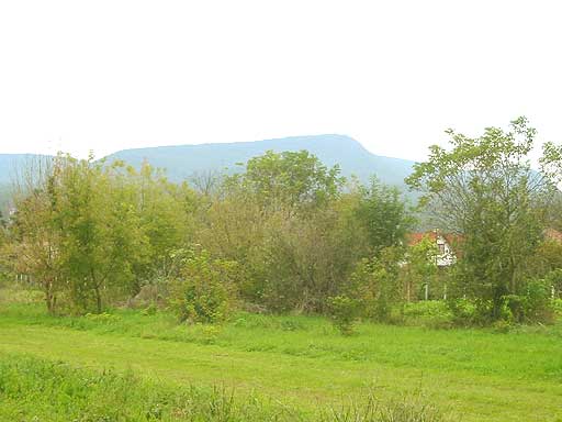 Pócsmegyer - Törölt - Lakóöv. telek