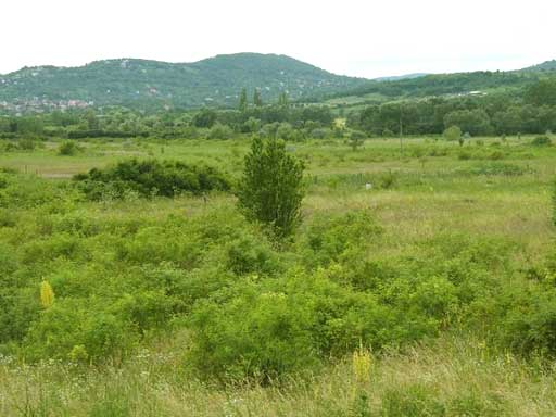 Szentendre - Elad� - K�lter. telek