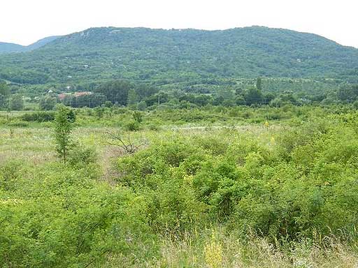 Szentendre - Törölt - Külter. telek