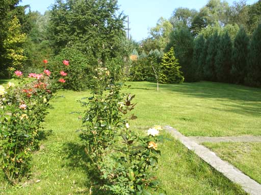 Szentendre - Felfüggesztve - Családiház