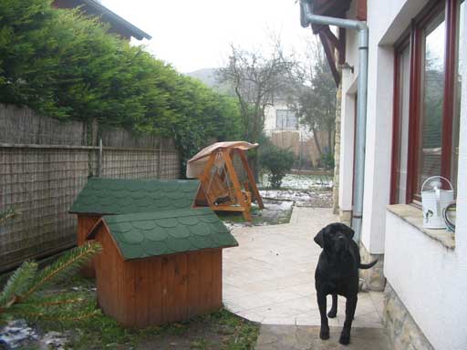 Szentendre - Eladott/Kiadott - Családiház