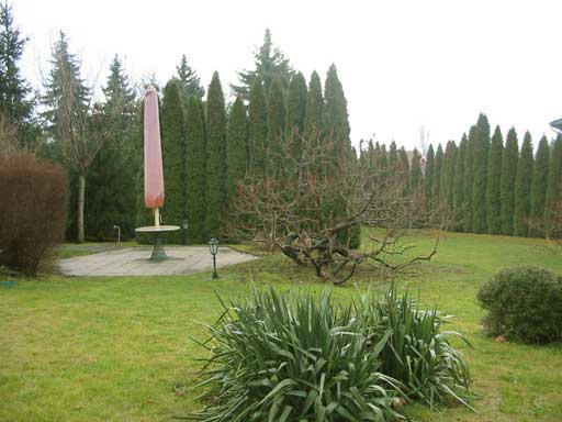 Szentendre - Eladott/Kiadott - Családiház