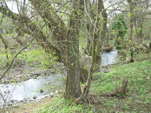 Szentendre - Eladott/Kiadott - Telek