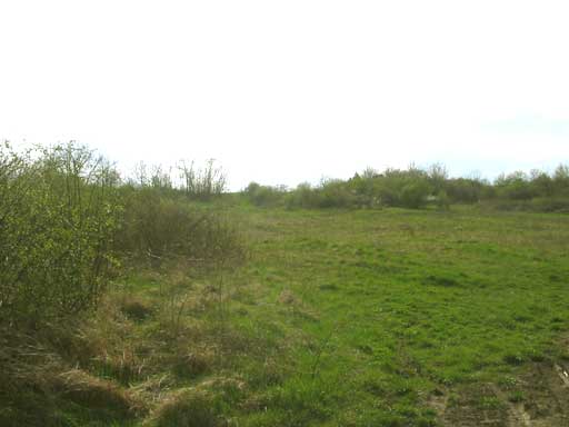 Szentendre - Felfüggesztve - Lakóöv. telek