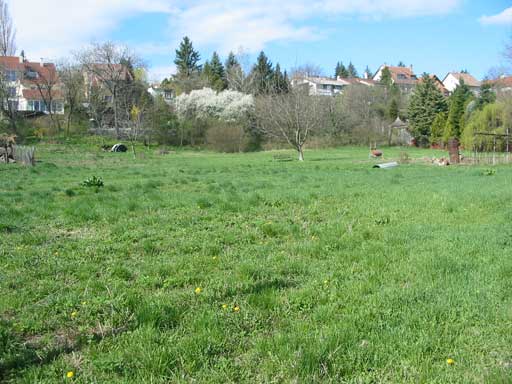 Szentendre - Elad� - Lak��v. telek