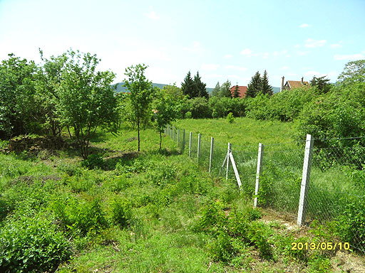 Szentendre - Elad� - �d�l��v. telek