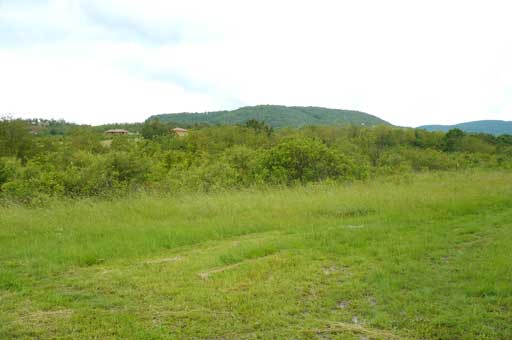 Szentendre - Sz�nt�f�ld
