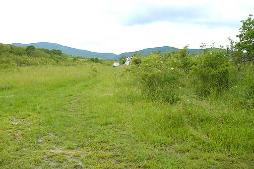 Szentendre - Eladott/Kiadott - Szántóföld
