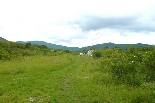 Szentendre - Eladott/Kiadott - Szántóföld