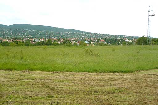 Szentendre - Eladott/Kiadott - Szántóföld
