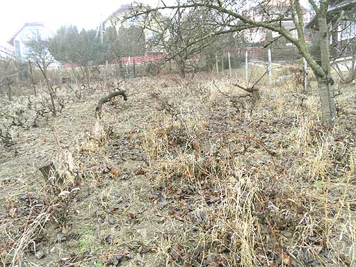 Budakalász - Eladott/Kiadott - Lakóöv. telek