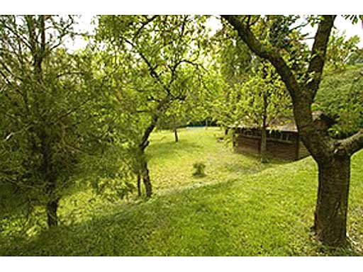 Szentendre - Eladott/Kiadott - Családiház