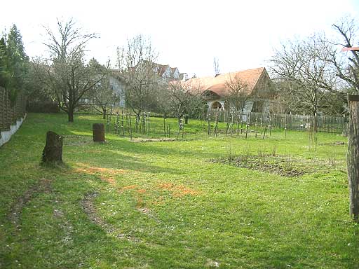 Szentendre - Elad� - Telek