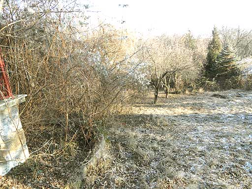 Szentendre - Törölt - Üdülőöv. telek