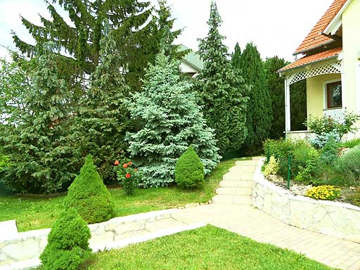 Szentendre - Felfüggesztve - Családiház