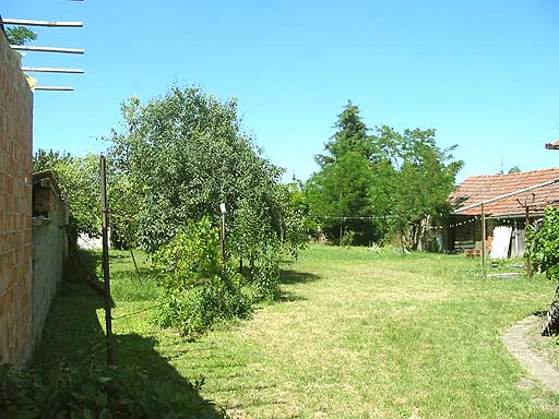 Battonya - Eladott/Kiadott - Családiház