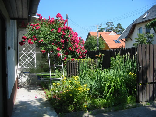 Szentendre - Kiad� - Csal�dih�z