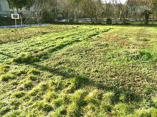 Szentendre - Eladott/Kiadott - Családiház