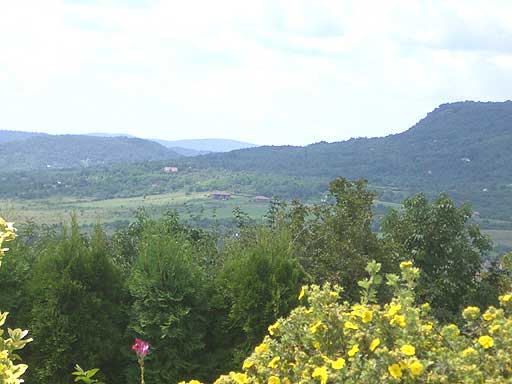 Szentendre - Eladott/Kiadott - Családiház