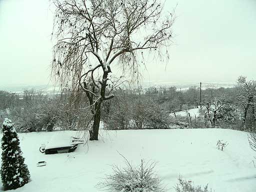 Szentendre - Törölt - Családiház