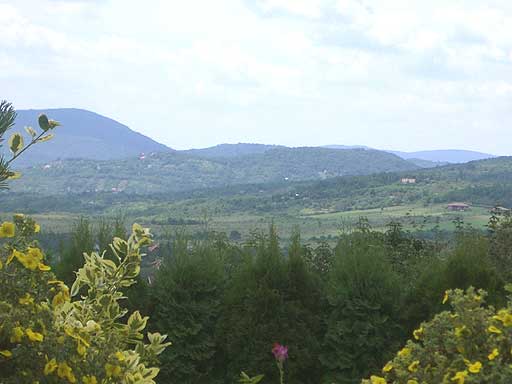 Szentendre - Elad� - Lak��v. telek