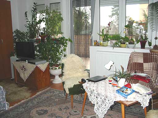 Szentendre - Elad� - Ikerh�z