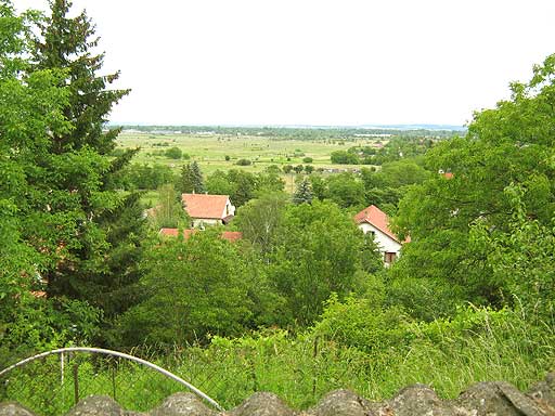Budakalász - Eladott/Kiadott - Telek