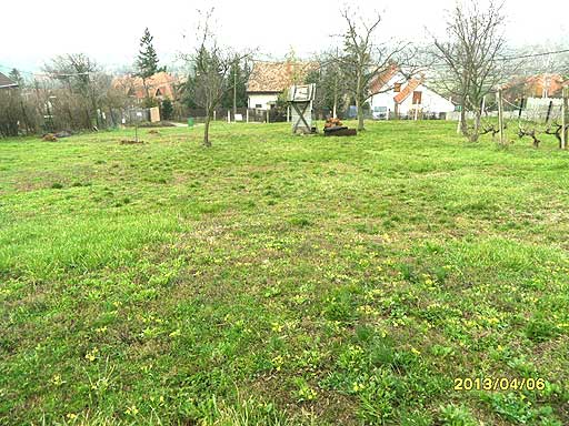 Szentendre - Felfüggesztve - Lakóöv. telek