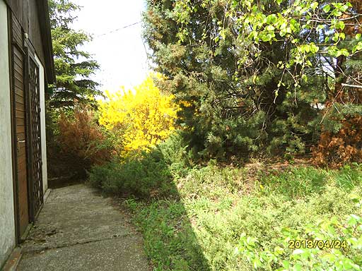 Szentendre - Eladott/Kiadott - Üdülőöv. telek