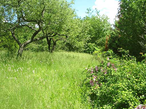 Szentendre - Eladott/Kiadott - Üdülőöv. telek
