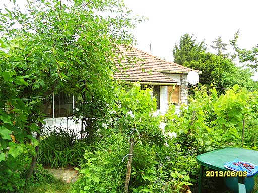 Szentendre - Csal�dih�z