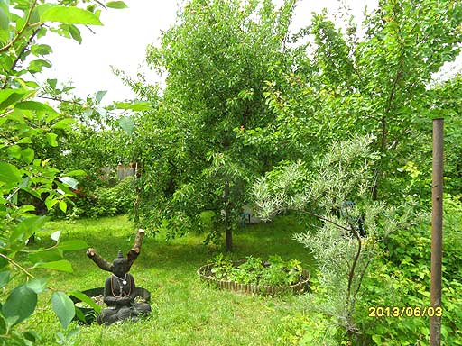 Szentendre - Felfüggesztve - Családiház