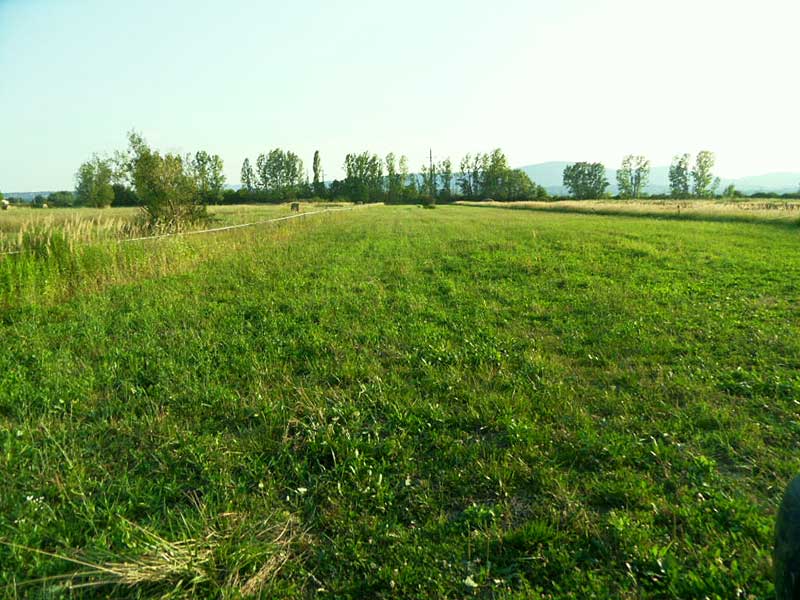 Szentendre - Felfüggesztve - Szántóföld