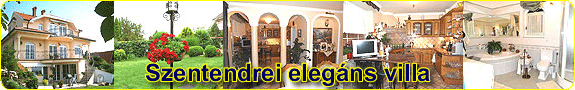 Dunakeszi, T�v�ros - Luxus csal�di h�z