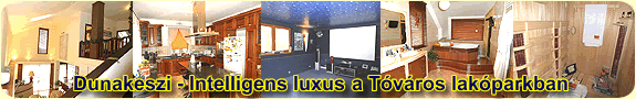 Dunakeszi, T�v�ros - Luxus csal�di h�z